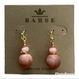 𝅺barse dangle stone earrings NWT